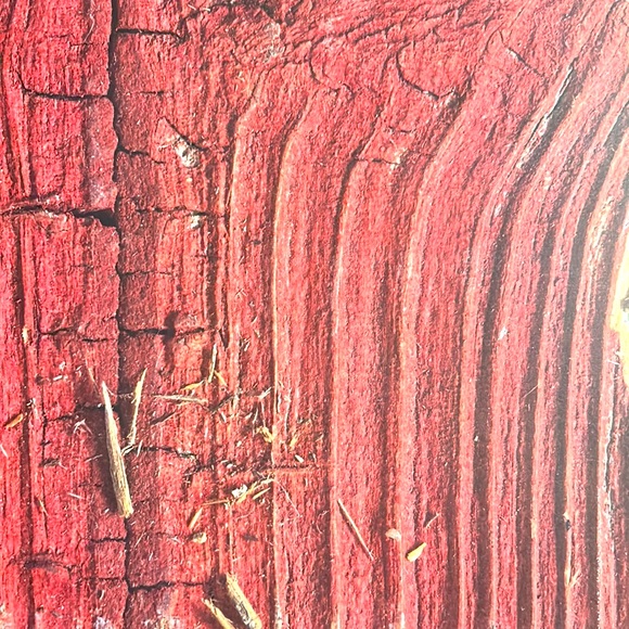 Scrapbook Paper! Wood Backgrounds & Textures! 12x12” - Picture 7 of 17